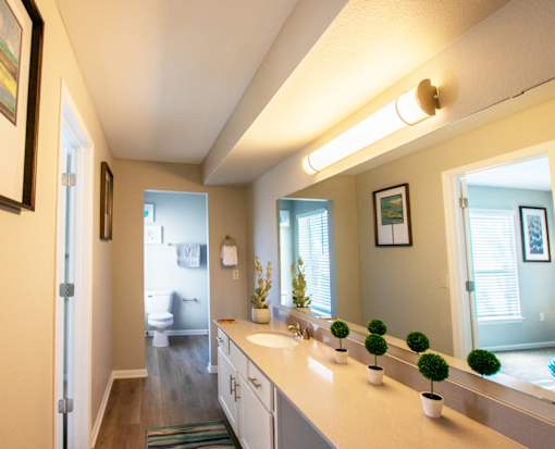 A bathroom with a vanity, a mirror, and a potted plant.