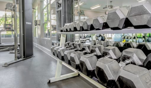 A gym with a rack of hexagonal dumbbells.