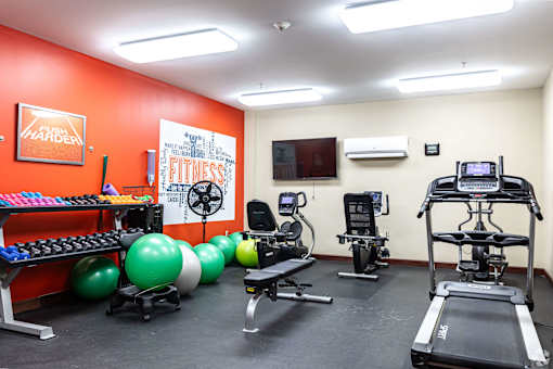 A gym room with a row of exercise balls and a treadmill.