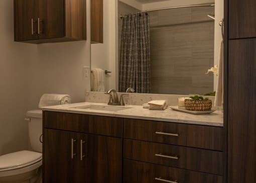 a small bathroom with a sink and a toilet  at The Clearing at ONE28, Olathe, KS, 66062