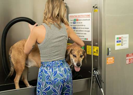 a woman is washing her dog in a machine at The Clearing at ONE28, Olathe