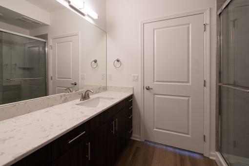 a bathroom with a sink and a mirror and a shower at The Clearing at ONE28, Olathe