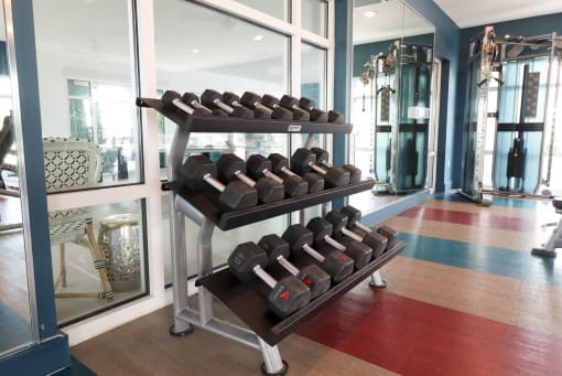 a rack of dumbbells in a gym at The Crest at Laurel Canyon Apartments, Naples, Florida