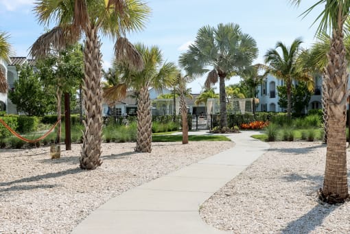 a walkway with palm trees and a house in the background at The Crest at Laurel Canyon Apartments, Naples, FL