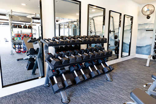A gym with a mirror, weights, and exercise equipment.