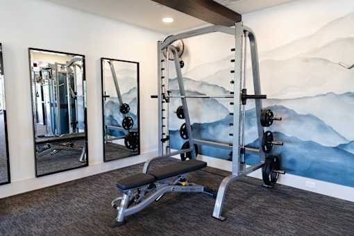 A gym with a mountain mural on the wall.