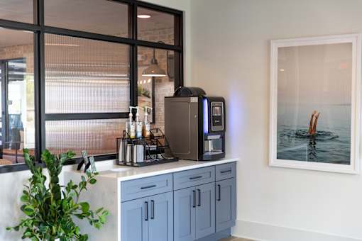 A kitchen with a plant on the counter and a picture of a person in the background.