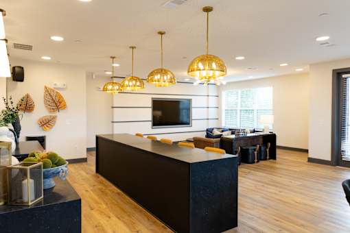 A modern kitchen with a black countertop and wooden floors.