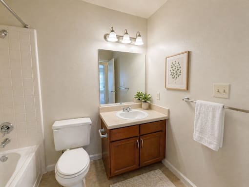 A white toilet sits next to a sink in a bathroom.