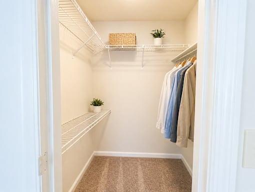 A white closet with clothes hanging and a plant on the shelf.