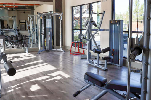 a gym with weights and cardio equipment in a building with glass doors at The Crest at Laurel Canyon Apartments, Canton, Georgia
