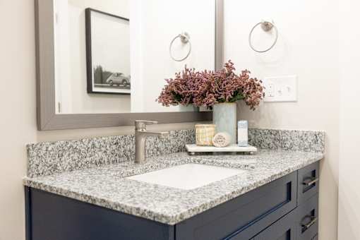 Bathroom sink with countertop at The Crest at Oakwood, Oakwood, 30566