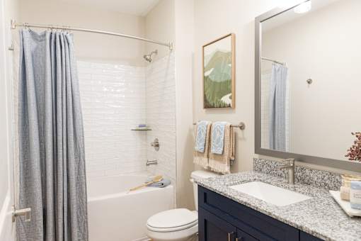 Bathroom Interior26 at The Crest at Oakwood, Oakwood, GA