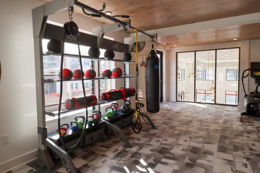 The Wren Fitness Studio weights and boxing bag located in Lawrenceville,GA