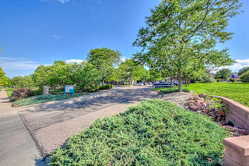 a park with green grass and trees and a road