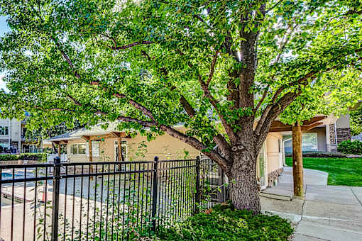 a tree in front of a house behind a black fence