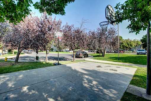 a park with basketball hoops and trees with pink blossoms
