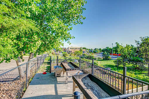 a park with benches and trees and a fountain