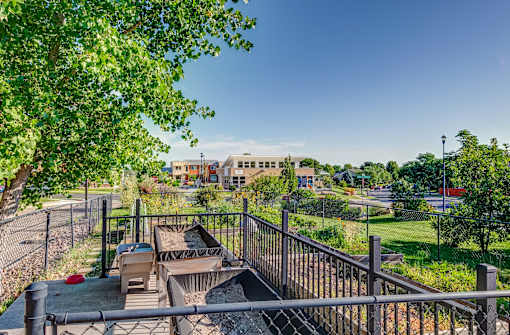 the preserve at ballantyne commons dog park