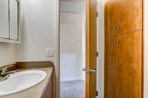a bathroom with a sink and a mirror and a wooden door