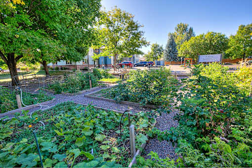 a garden with many plants and trees in a park