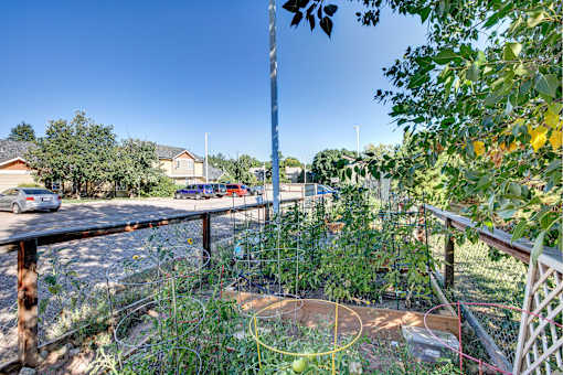 a garden with fruit trees and a fence and a parking lot