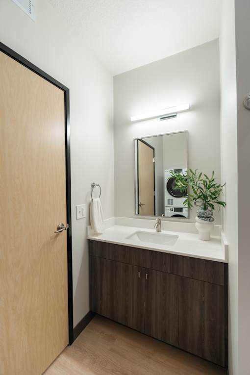 A bathroom with a sink, mirror, and a plant.
