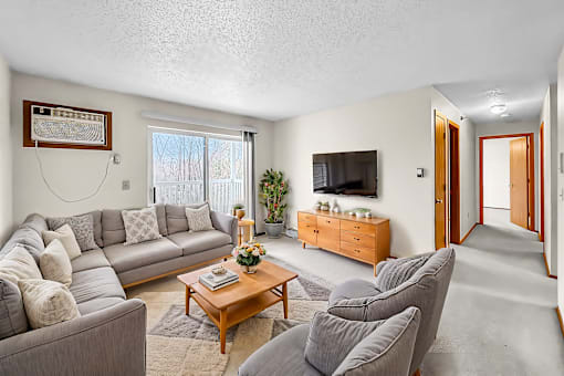 A living room with a grey couch, a wooden coffee table, and a television.