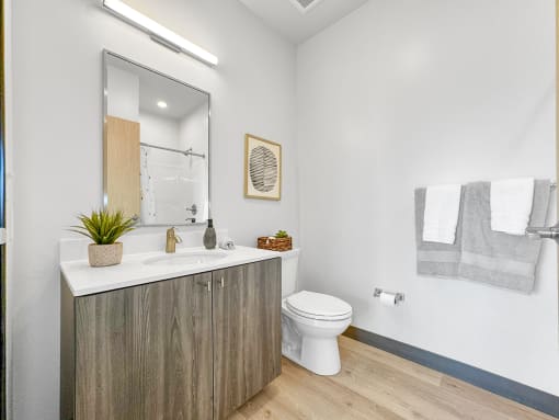 a bathroom with a toilet and a sink and a mirror