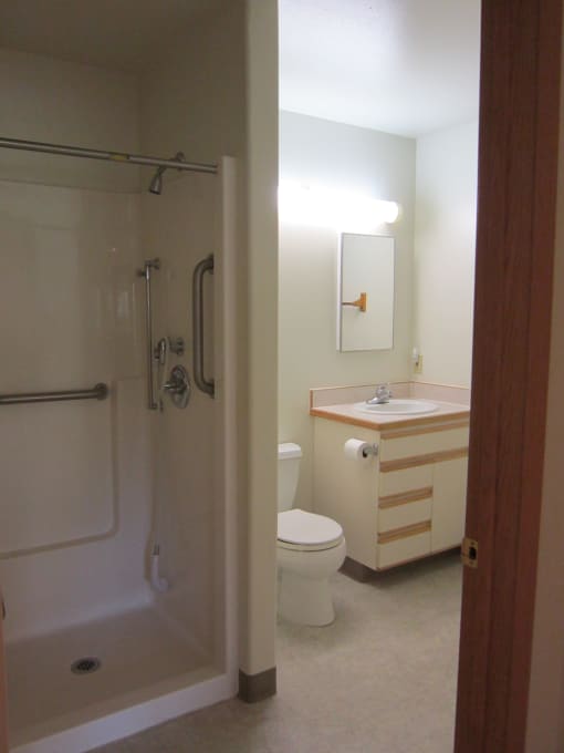 Image of shower, toilet, and sink with cabinets