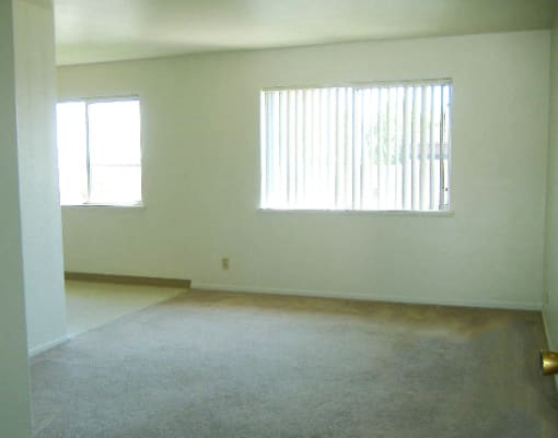 an empty living room with a window and a carpet