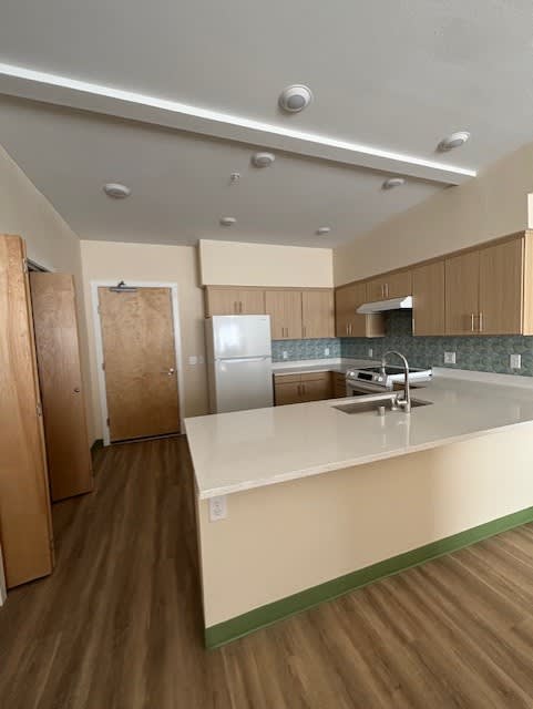 A kitchen with wooden floors and a white counter.
