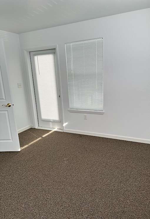 A room with a brown carpet and a white door.