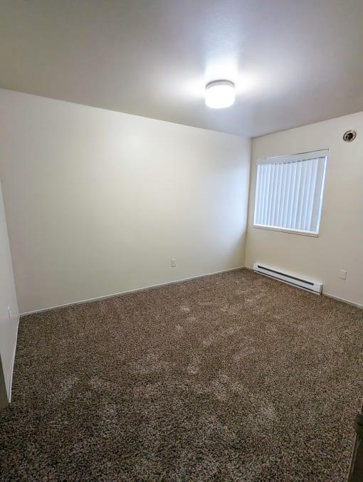 Image of bedroom showing carpet and window with coverings.