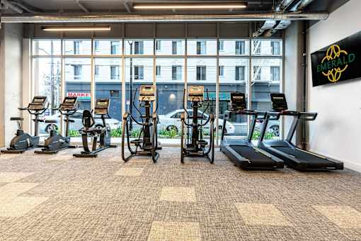 A gym with treadmills, exercise bikes and other equipment.