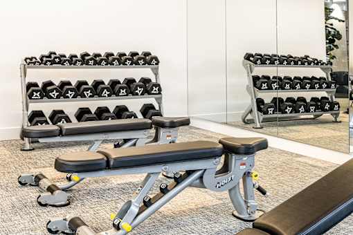 A gym with a bench, dumbbells, and a mirror.