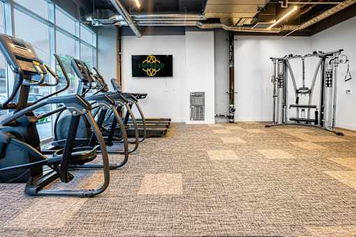 A gym with treadmills, exercise bikes and a weight rack.