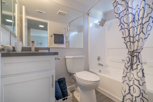 a bathroom with a shower and a toilet and a sink
