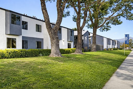A row of modern houses with trees in front.