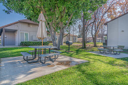 Picnic Area