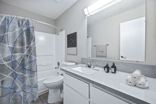 a bathroom with a shower toilet and sink