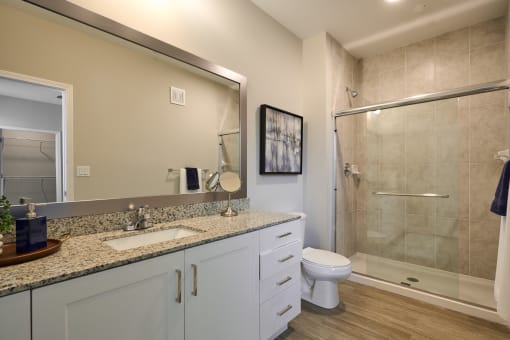 a bathroom with a sink and a shower and a toilet