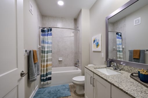 a bathroom with a shower toilet and sink and a mirror