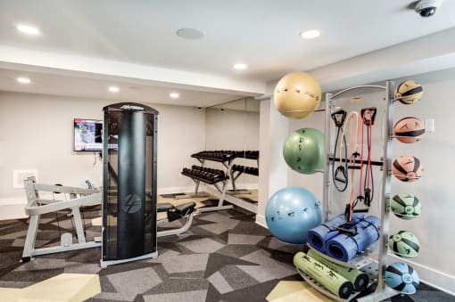 a home gym with a punching bag and weights at Hamilton at Kings Place, Columbia Maryland