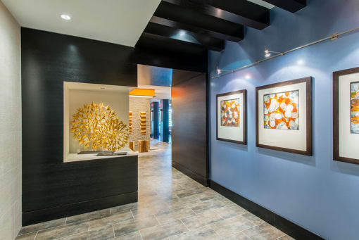 Art Gallery View at Mira Upper Rock, Rockville, Maryland
