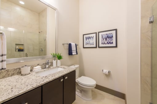 Modern Bathroom Fittings at Mira Upper Rock, Rockville, 20850