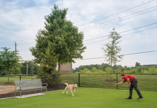 Dog Park at Mira Upper Rock, Rockville, Maryland