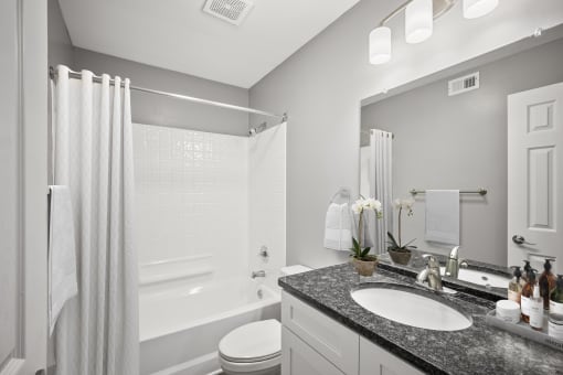 a renovated bathroom with a shower and a sink and a toilet at Villages at Morgan Metro, Landover, 20785