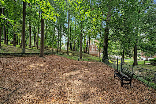 Park with Benches and Trees at Falkland Chase, Silver Spring, 20910