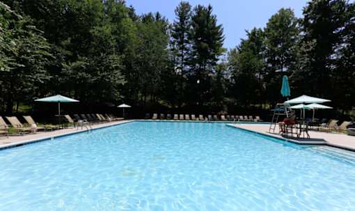 A large swimming pool surrounded by trees and lounge chairs at Ellicott Grove, Ellicott City, MD 21043